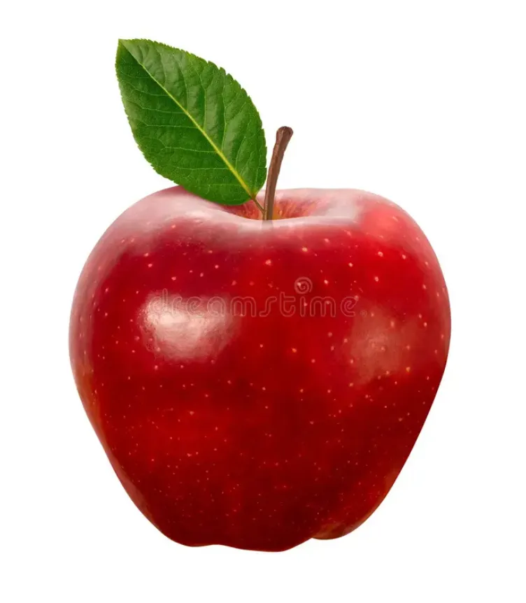 Screenshot 2025-07-14 at 2.13.14 PM.png