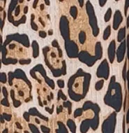estampado-leopardo.png