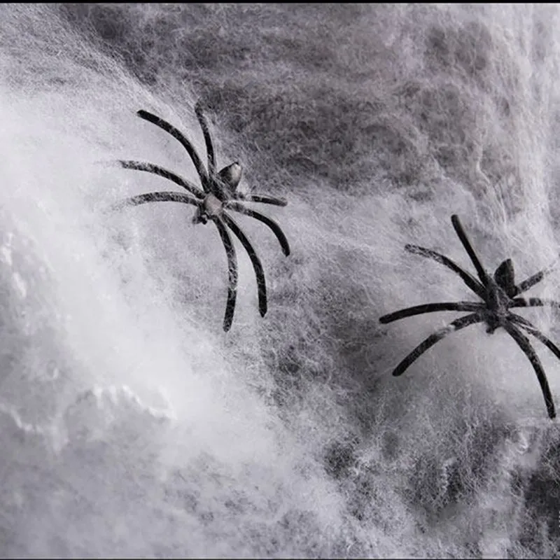 guata con arañas.webp