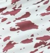 WhatsApp Image 2025-11-13 at 10.21.42 AM.jpeg