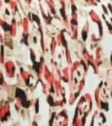 WhatsApp Image 2025-12-01 at 5.05.47 PM.jpeg