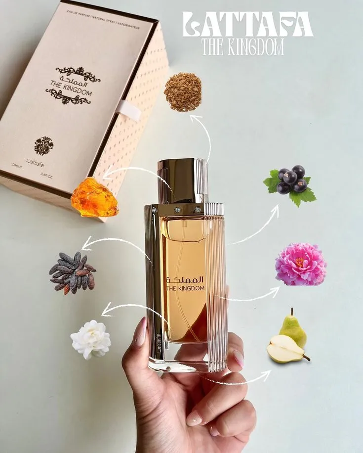 WhatsApp Image 2026-02-11 at 10.06.28 AM - copia.jpeg