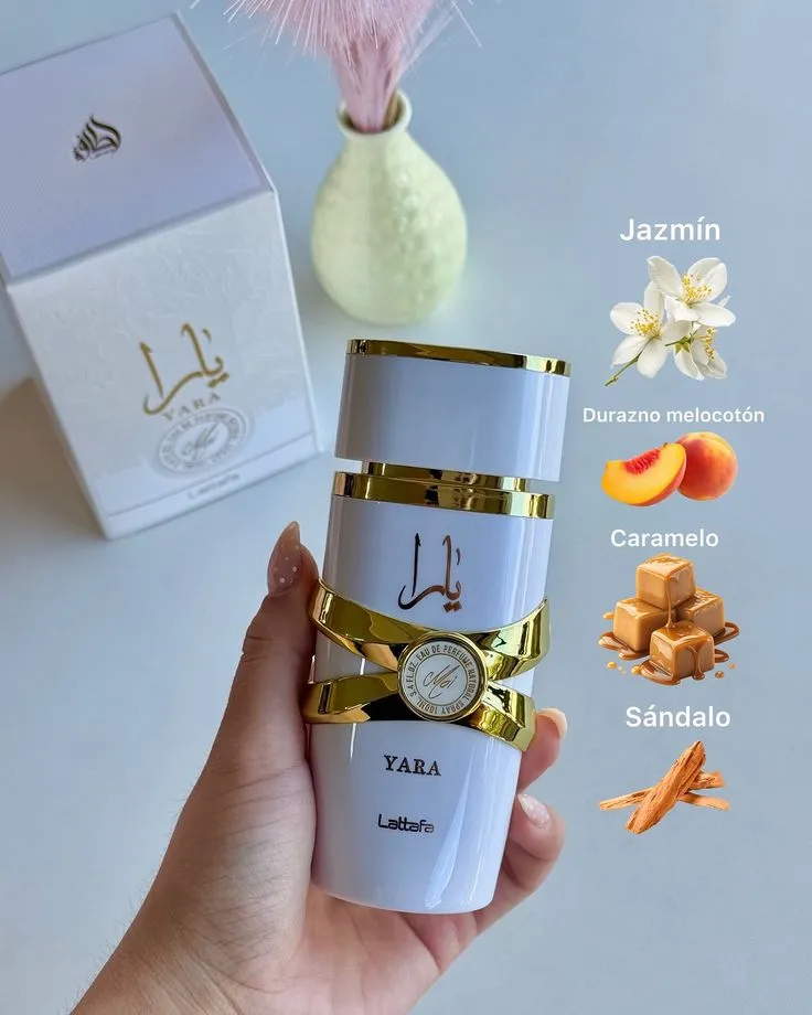 WhatsApp Image 2026-02-11 at 10.10.01 AM (1).jpeg