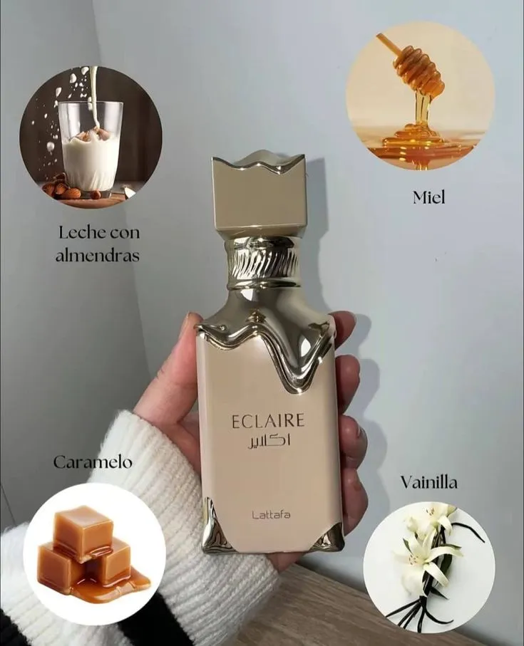 WhatsApp Image 2026-02-12 at 3.31.42 PM(1).jpeg