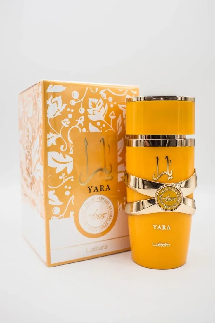 WhatsApp Image 2026-02-19 at 10.08.03 AM.jpeg