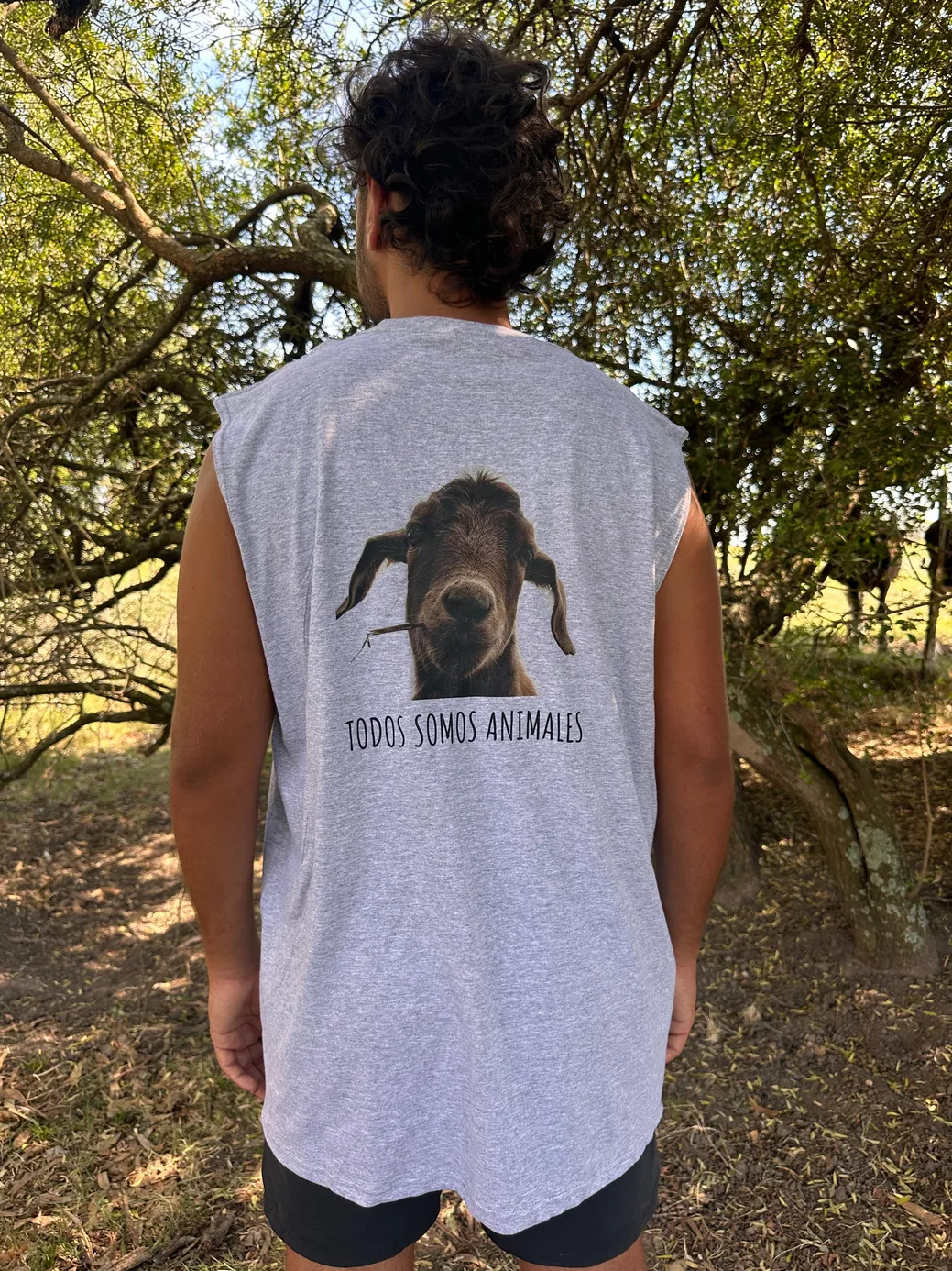 WhatsApp Image 2026-03-29 at 7.21.51 PM (12).jpeg