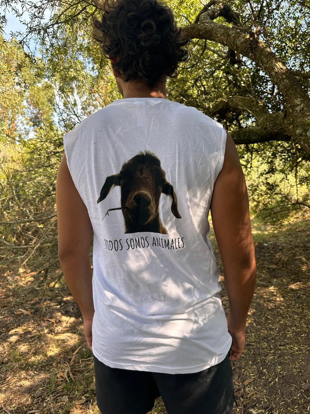 WhatsApp Image 2026-03-29 at 7.21.51 PM (2).jpeg