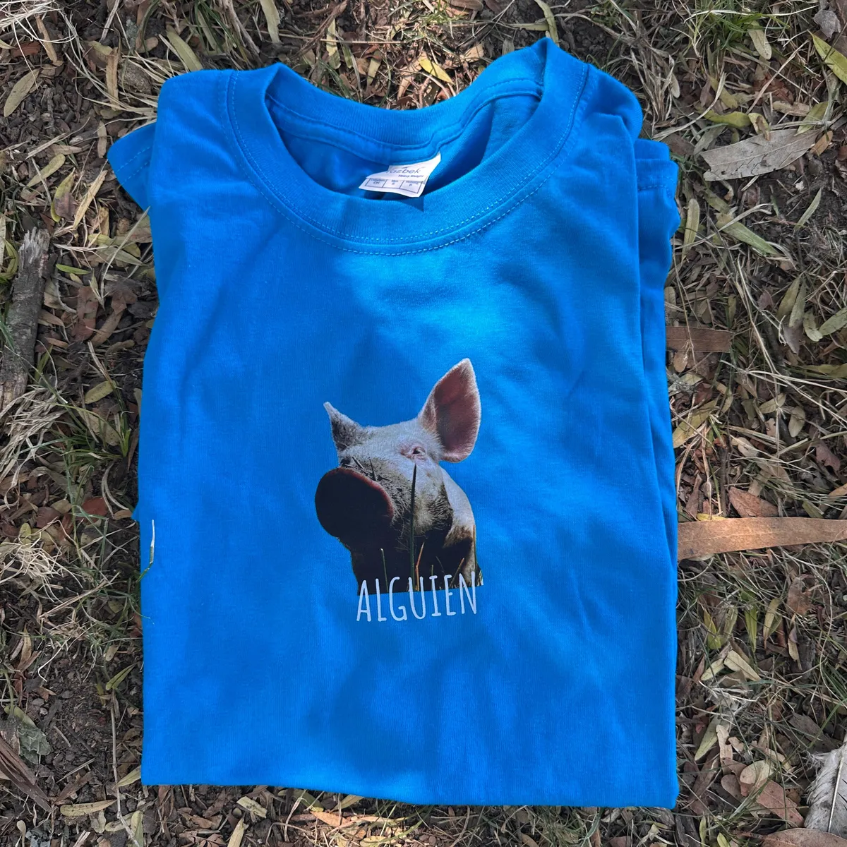 WhatsApp Image 2026-03-29 at 7.21.51 PM (18).jpeg