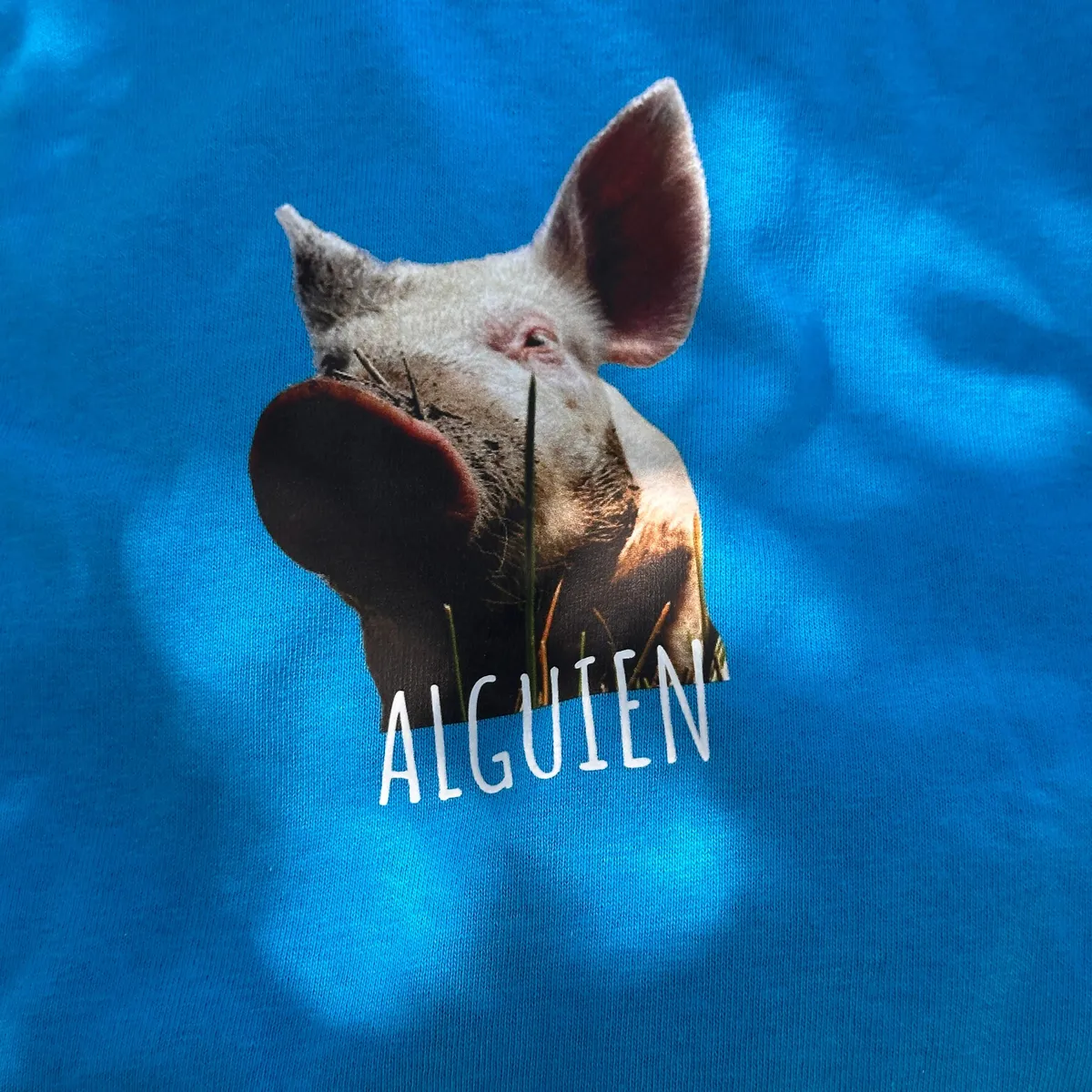 WhatsApp Image 2026-03-29 at 7.21.51 PM (17).jpeg