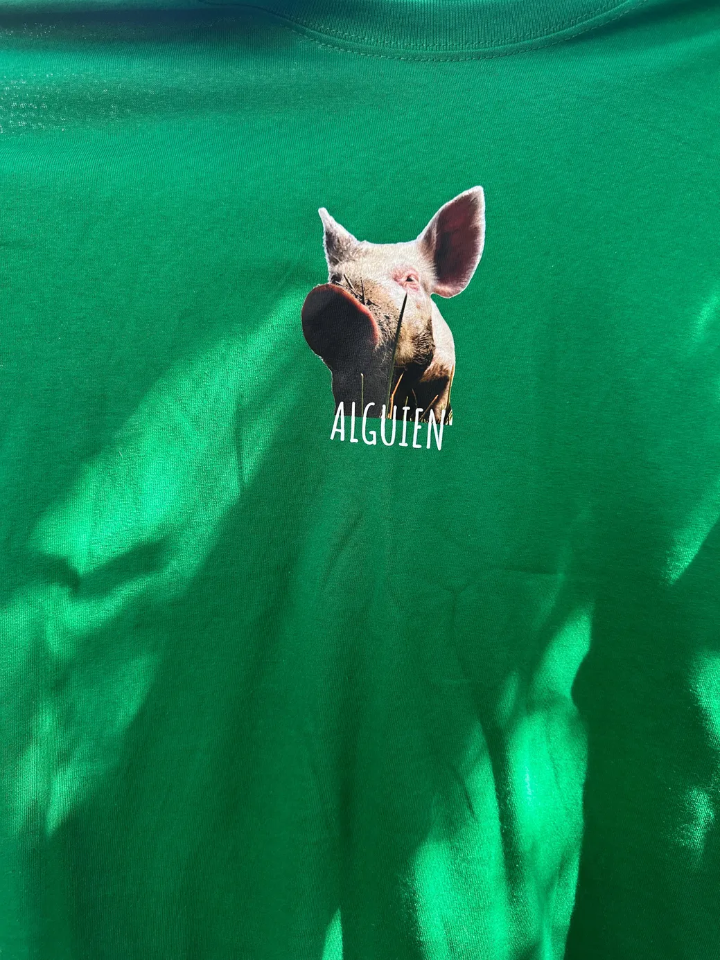 WhatsApp Image 2026-03-29 at 7.21.49 PM.jpeg