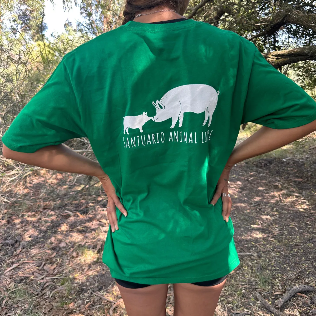 WhatsApp Image 2026-03-29 at 7.21.41 PM.jpeg