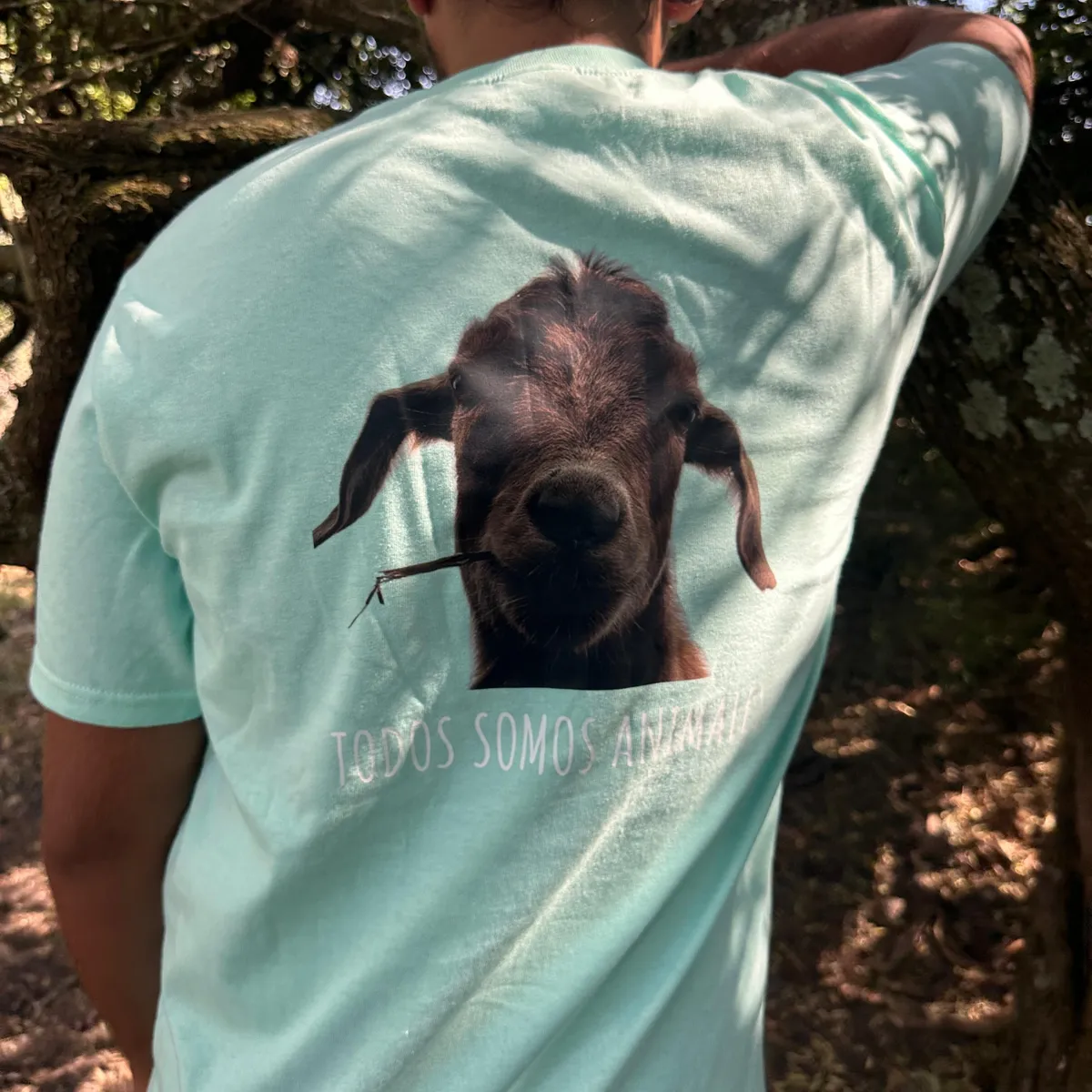 WhatsApp Image 2026-03-29 at 7.21.52 PM (7).jpeg