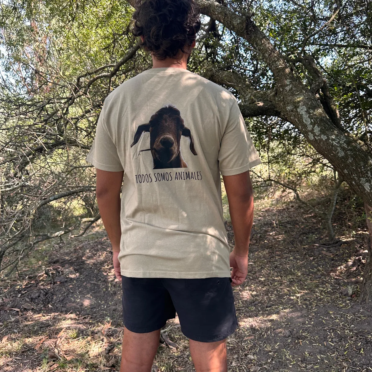 WhatsApp Image 2026-03-29 at 7.21.52 PM (5).jpeg