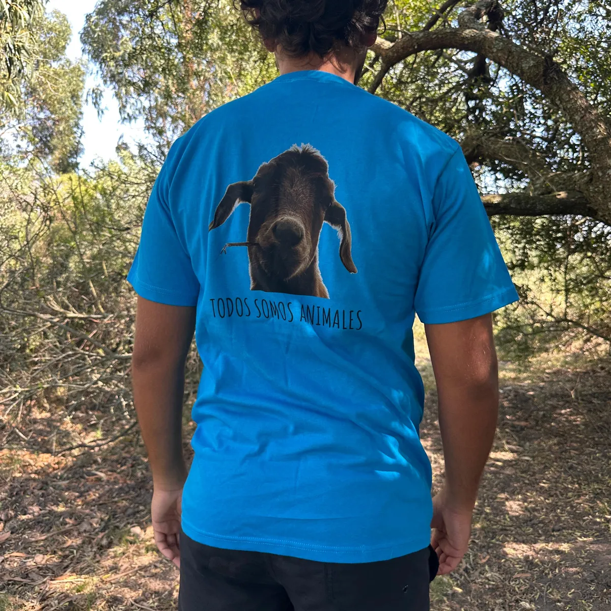 WhatsApp Image 2026-03-29 at 7.21.52 PM (4).jpeg