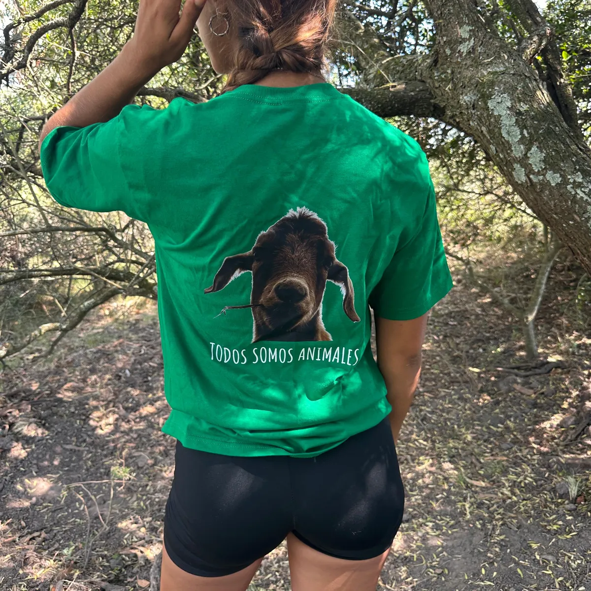 WhatsApp Image 2026-03-29 at 7.21.52 PM (2).jpeg