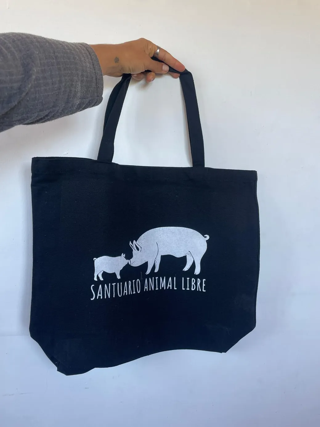 WhatsApp Image 2026-03-29 at 9.39.32 PM.jpeg