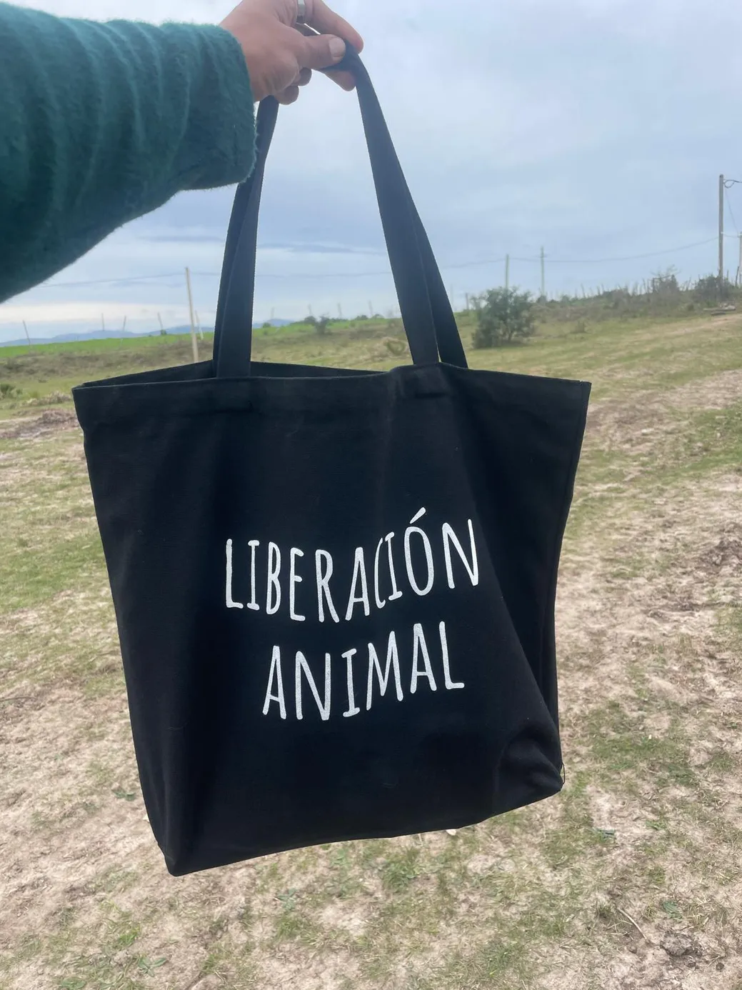 WhatsApp Image 2026-03-29 at 9.40.21 PM.jpeg